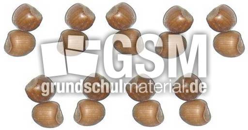 Haselnüsse-9x2.jpg